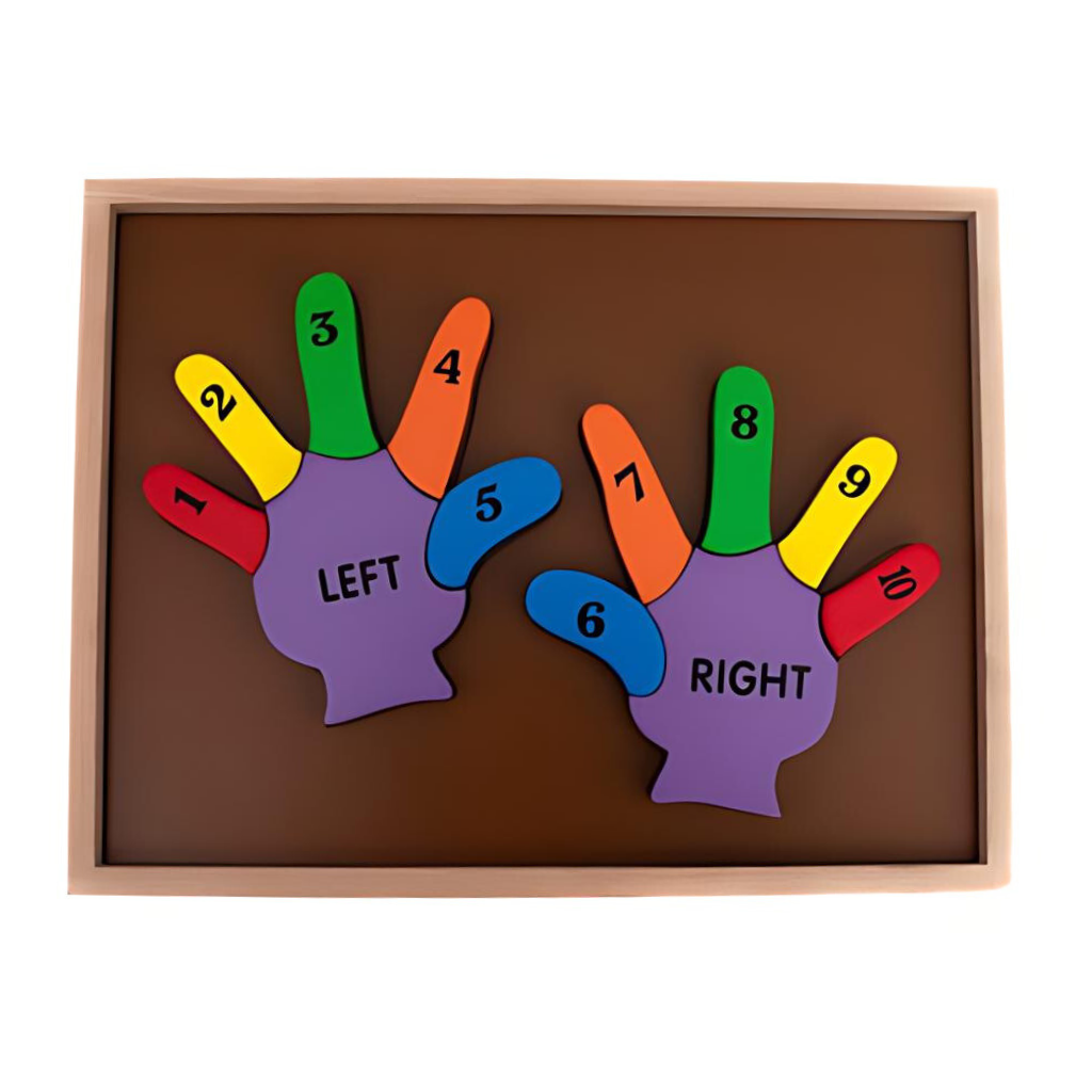 Hilife -Counting Double Hand Puzzle