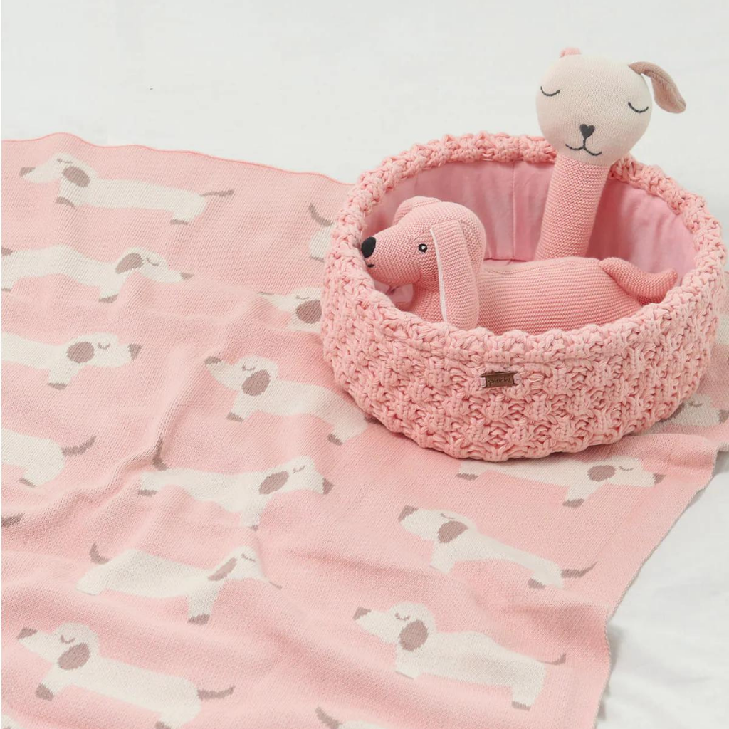 Pluchi Mutt Gift Basket (0 to 18 Months) - Set of 4