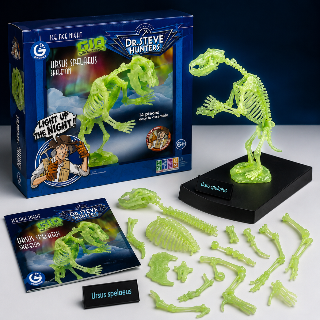 Glow-in-the-Dark Cave Bear Skeleton Model Kit for Kids | 14-Piece STEM Educational Toy