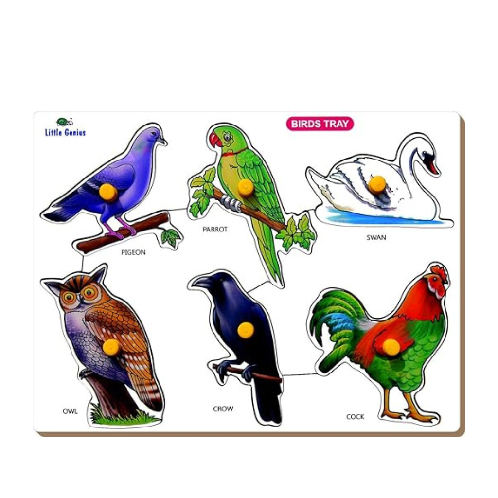 Little Genius- Birds Pigeon Tray