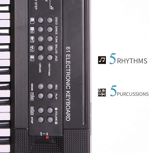 Ninos Piano with Mic 61 Keys 8 Tones,5 Rhythms, 6 Demos,5 Percussions Portable Electronic Keyboard Toy