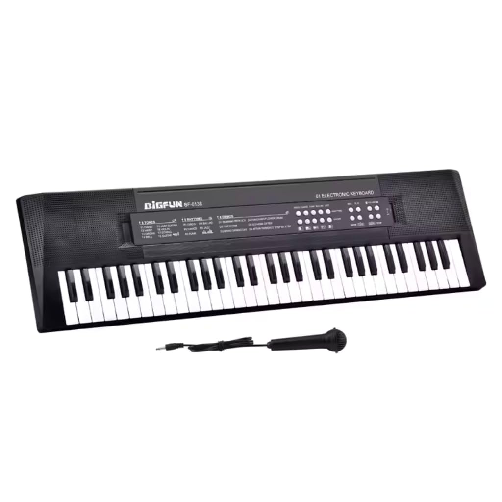 Ninos Piano with Mic 61 Keys 8 Tones,5 Rhythms, 6 Demos,5 Percussions Portable Electronic Keyboard Toy