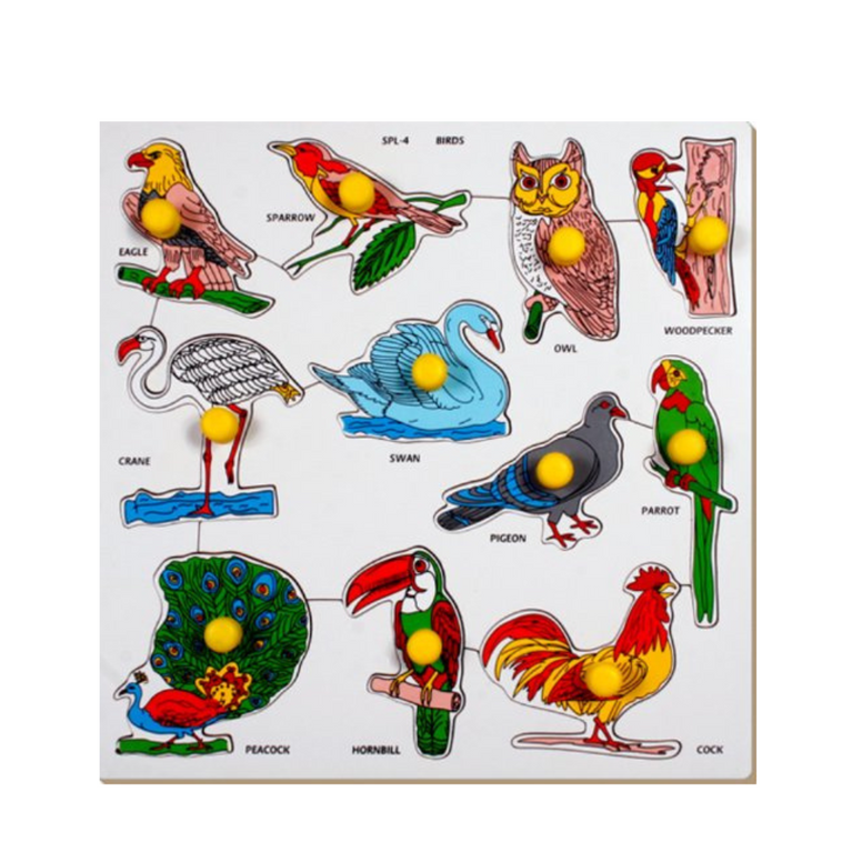 Little Genius-Birds large with Big Knob (Multicolor)