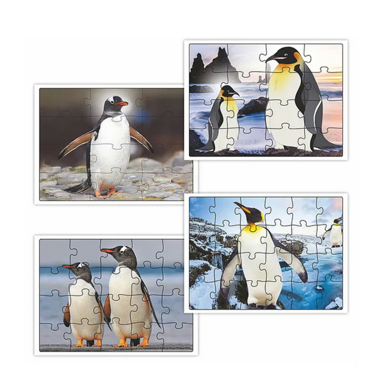 Alyna-Fix N Learn Penguins Jigsaw Puzzle Multicolor Set of 4 - 72 Pieces