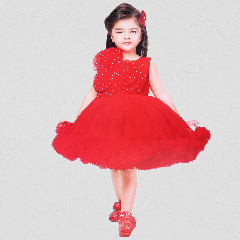 Panicky-Net Woven Sleeveless Party Wear Frock with Polka dot & Floral Applique