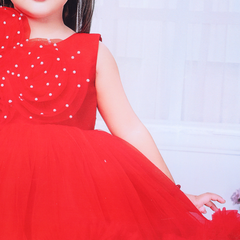 Panicky-Net Woven Sleeveless Party Wear Frock with Polka dot & Floral Applique