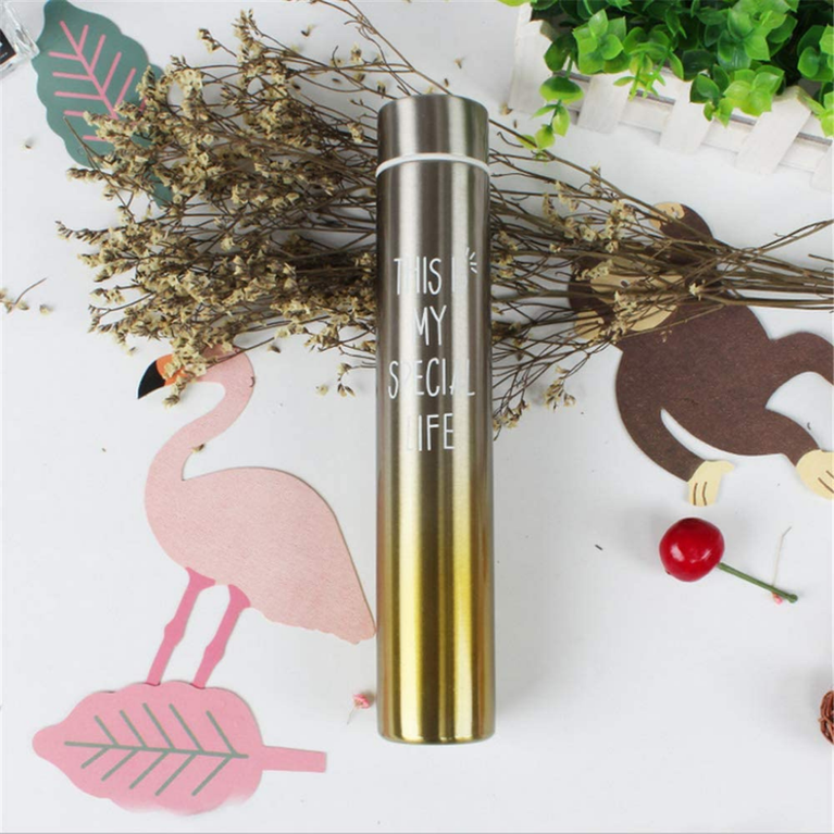 Mini Vacuum Insulated Thermosteel Bottle for Women, Stainless Steel, BPA Free, Rainbow, 310 ml /10oz Water Bottle