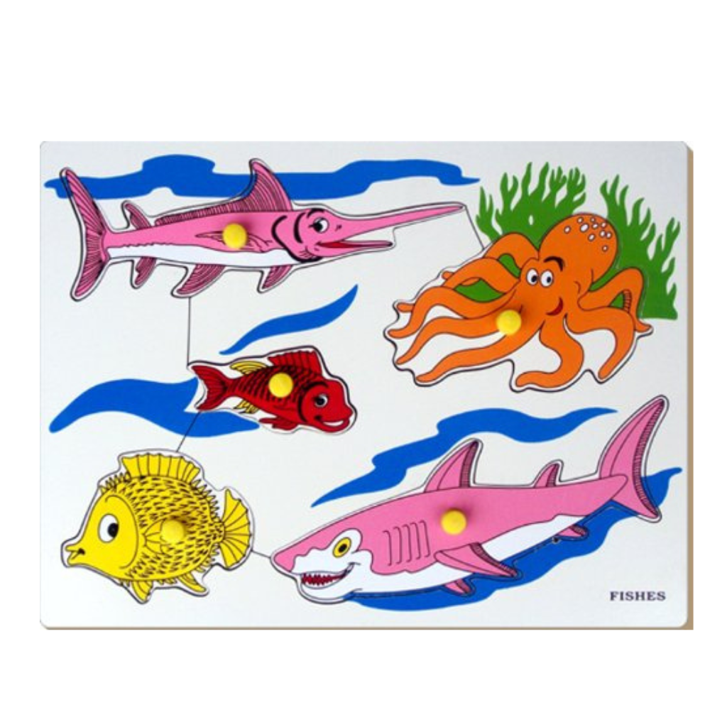 Little Genius- Fish Tray with Knob (Multicolor)
