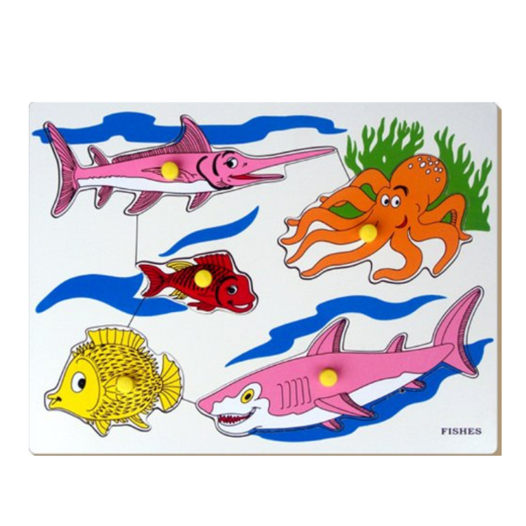 Little Genius- Fish Tray with Knob (Multicolor)
