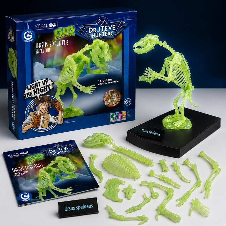 Glow-in-the-Dark Cave Bear Skeleton Model Kit for Kids | 14-Piece STEM Educational Toy