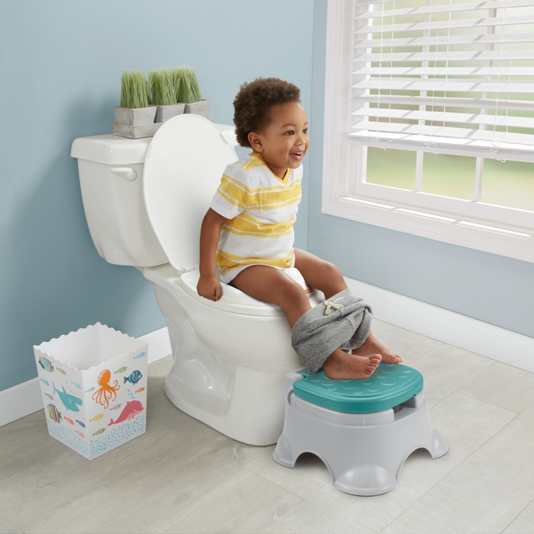 Fisher Price Baby Potty Training Seat with Lid for Toddlers