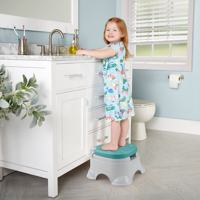 Fisher Price Baby Potty Training Seat with Lid for Toddlers