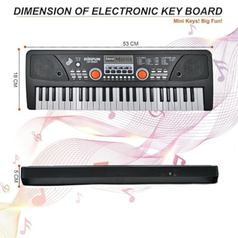 NINOS 49-Key Digital Piano Keyboard with Microphone – Portable Electronic Organ