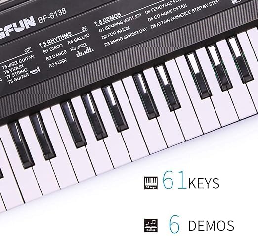 Ninos Piano with Mic 61 Keys 8 Tones,5 Rhythms, 6 Demos,5 Percussions Portable Electronic Keyboard Toy