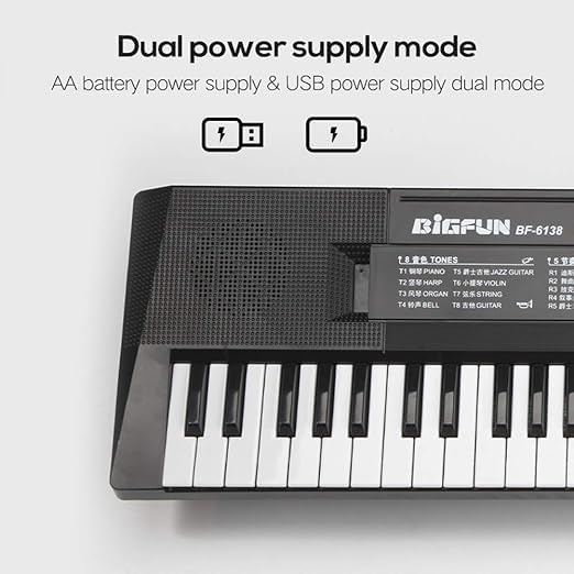 Ninos Piano with Mic 61 Keys 8 Tones,5 Rhythms, 6 Demos,5 Percussions Portable Electronic Keyboard Toy