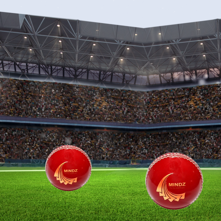 Mindz -Synthetic Ball l Perfect Outdoor and Indoor Game for Kids and Adults l Red Color