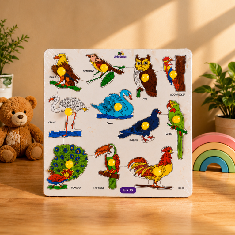 Wooden Birds Puzzle Board for Kids | Bird Identification & Montessori Educational Learning Toy