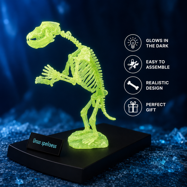 Glow-in-the-Dark Cave Bear Skeleton Model Kit for Kids | 14-Piece STEM Educational Toy